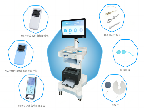 盆底肌康复治疗仪（NSJ-02)